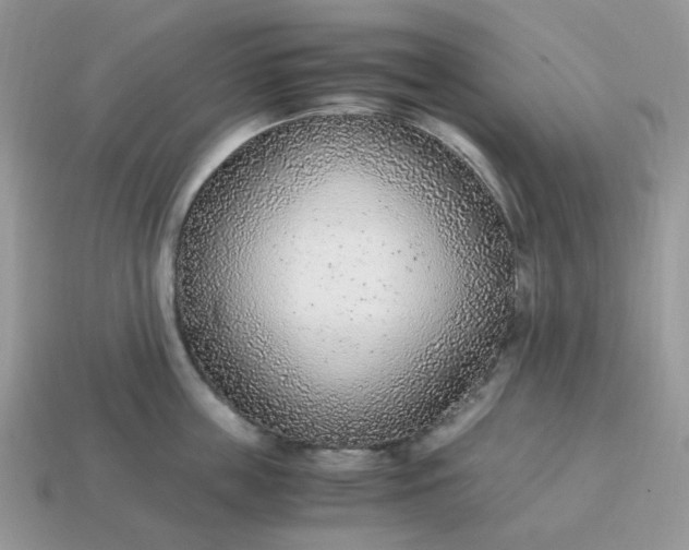 X0000114600859200911091316