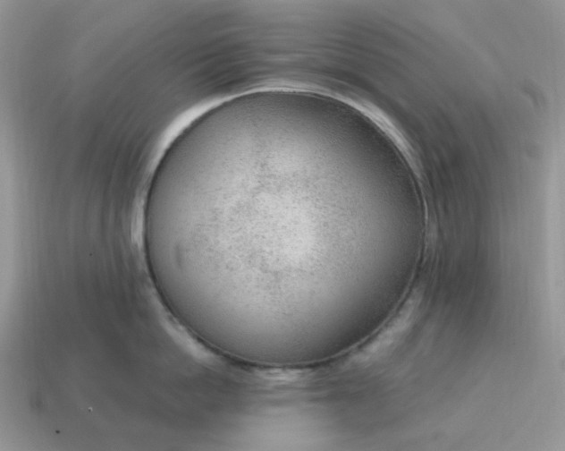 X0000114600862200911091316