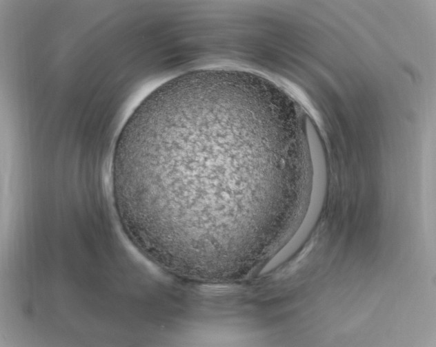 X0000114600863200911091316