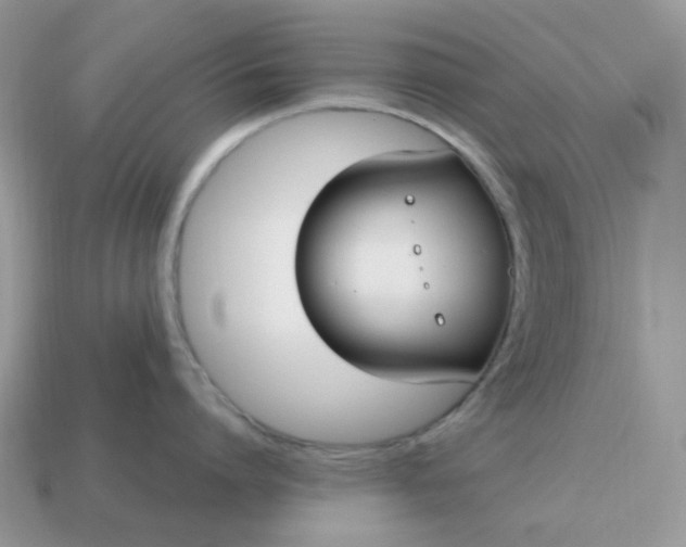 X0000114600864200911091316