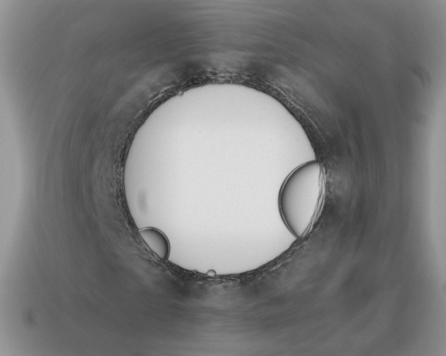 X0000114600865200911091315