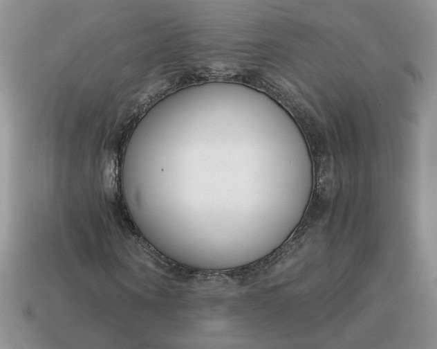 X0000114600866200911091315