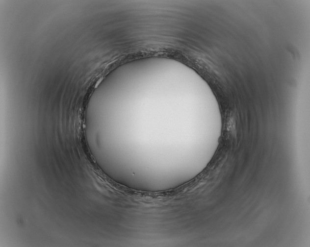 X0000114600868200911091315