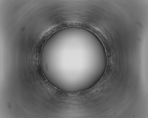 X0000114600870200911091315