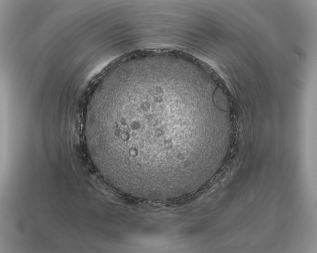 X0000114600871200911091315