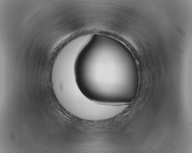 X0000114600872200911091315