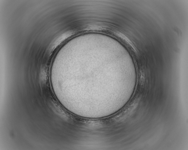 X0000114600874200911091315