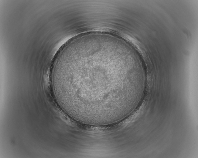 X0000114600875200911091315