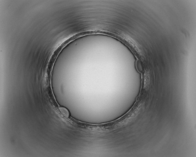 X0000114600876200911091315