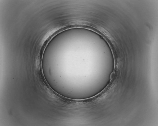 X0000114600877200911091315