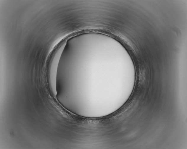 X0000114600878200911091315