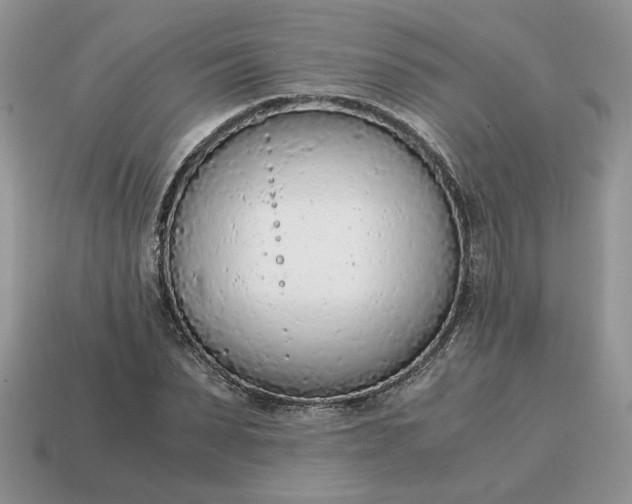 X0000114600879200911091315