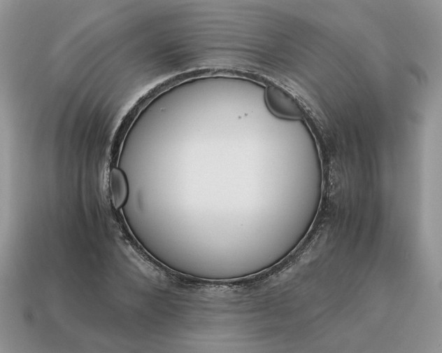 X0000114600880200911091315