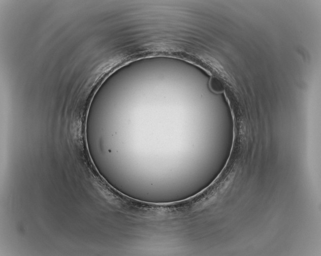 X0000114600881200911091315