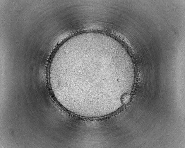 X0000114600882200911091315