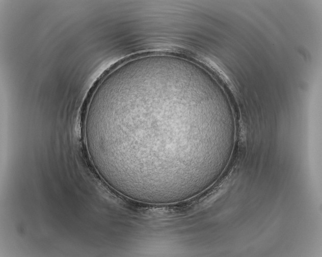 X0000114600883200911091315