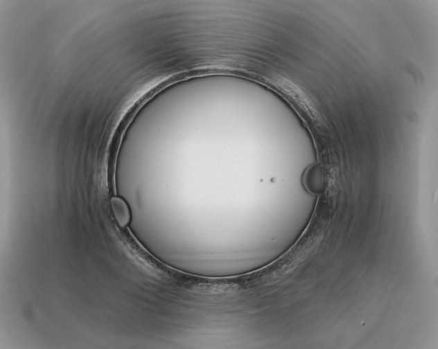 X0000114600884200911091315