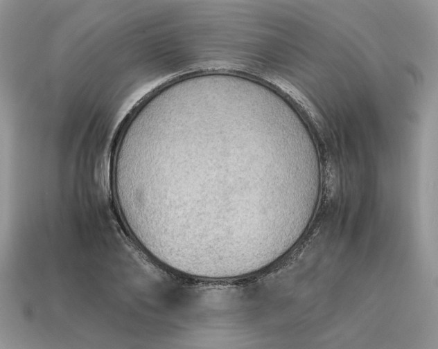 X0000114600886200911091315