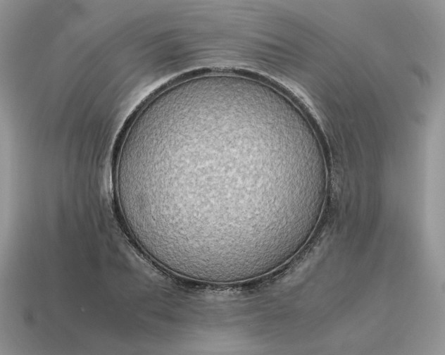 X0000114600887200911091315