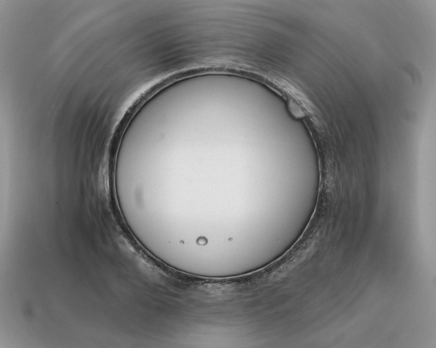 X0000114600888200911091315