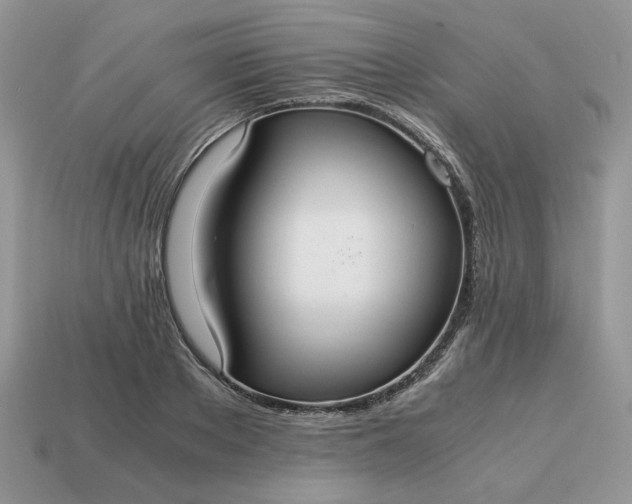 X0000114600889200911091315