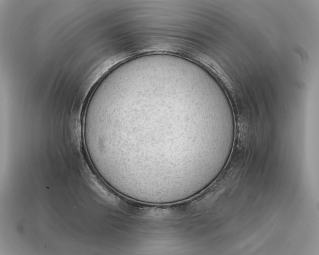 X0000114600890200911091315