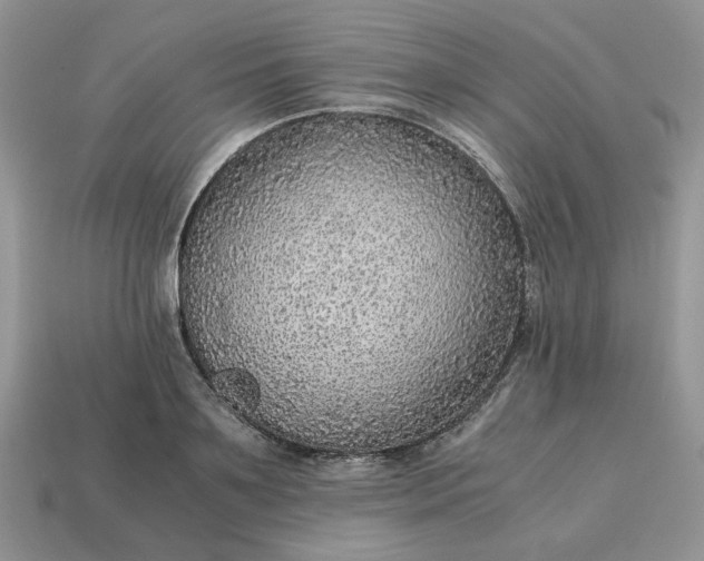 X0000114600891200911091315