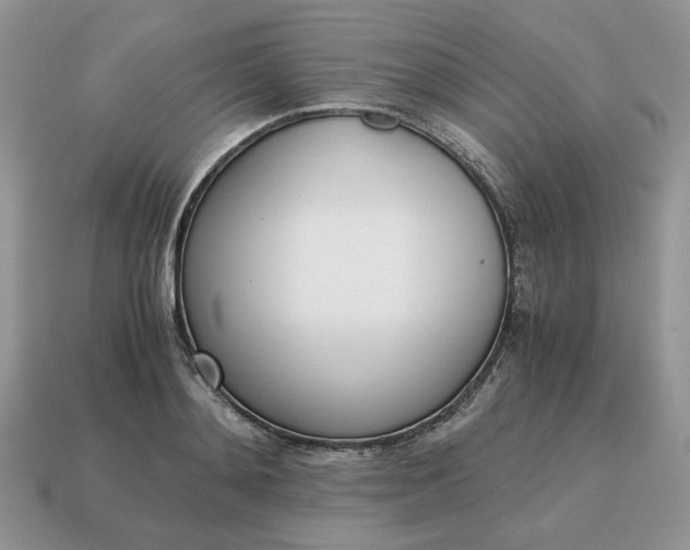 X0000114600892200911091315