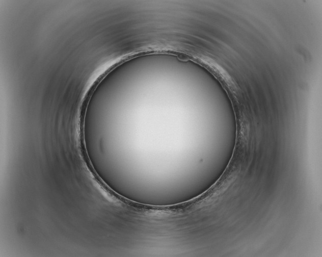 X0000114600894200911091315