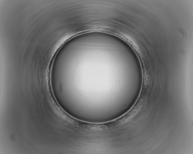 X0000114600899200911091315