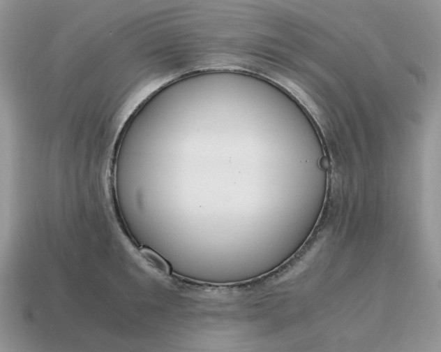 X0000114600901200911091315