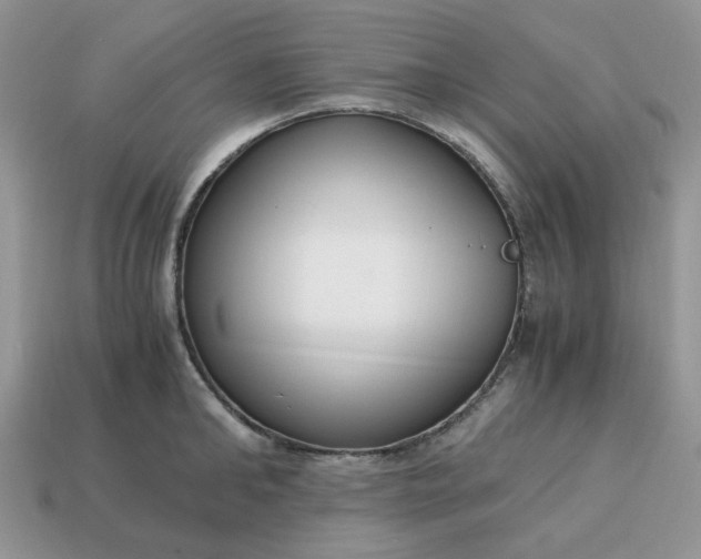 X0000114600902200911091315