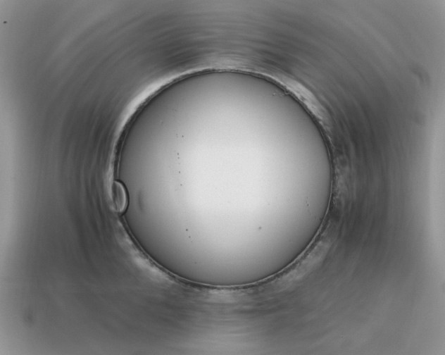 X0000114600904200911091315