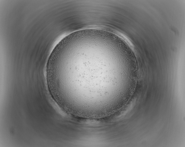 X0000114600907200911091315