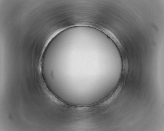 X0000114600908200911091315