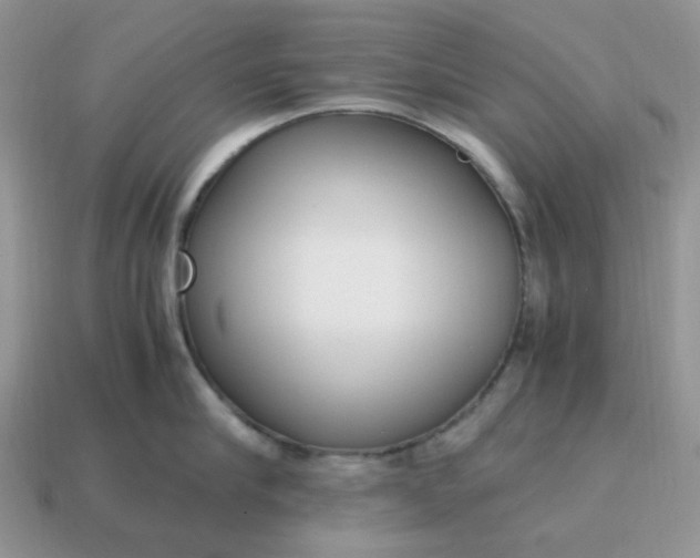 X0000114600910200911091315