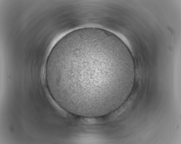 X0000114600911200911091315