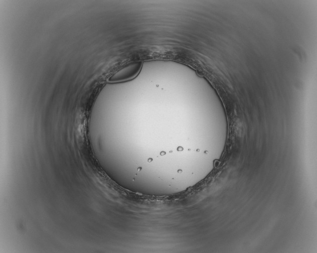 X0000114600914200911091314