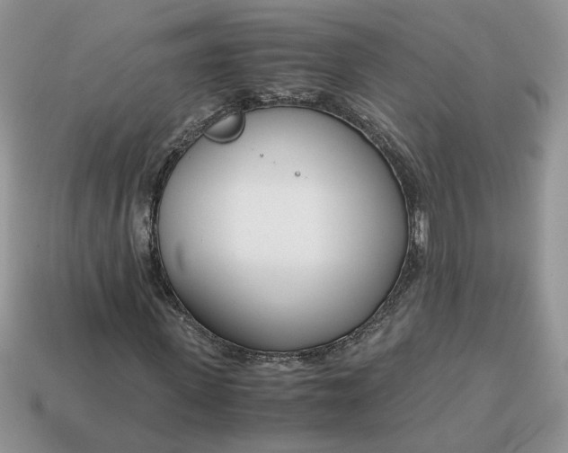 X0000114600915200911091314