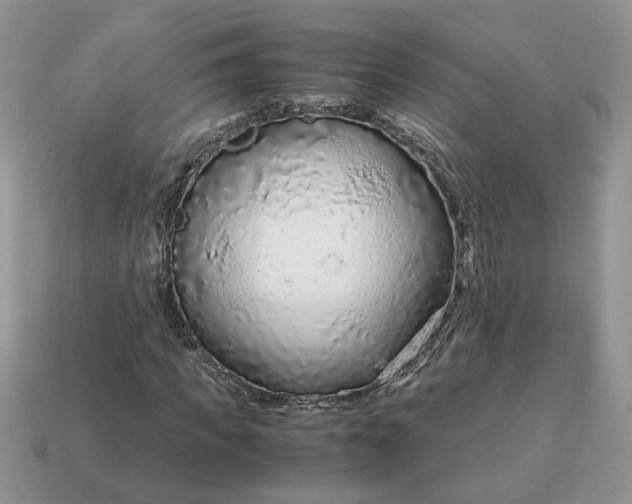 X0000114600917200911091314