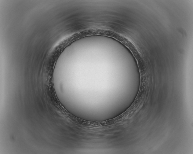 X0000114600919200911091314