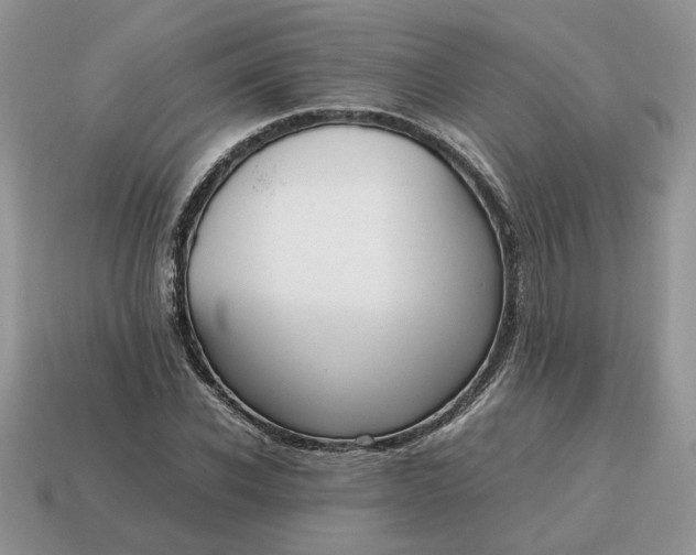 X0000114600926200911091314