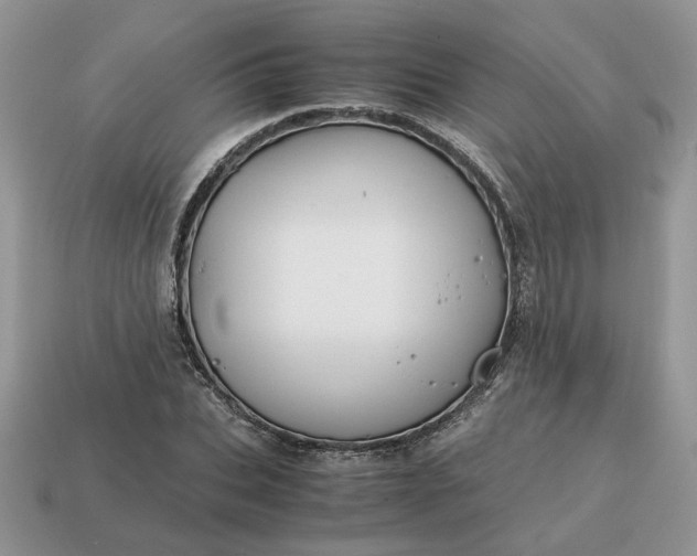 X0000114600927200911091314