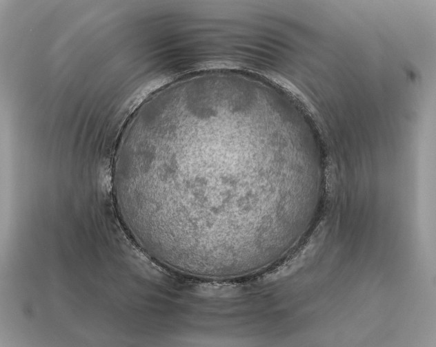 X0000114600929200911091314