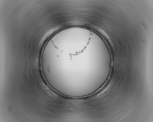 X0000114600930200911091314