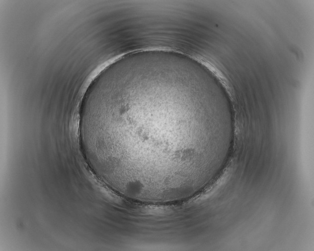 X0000114600933200911091314