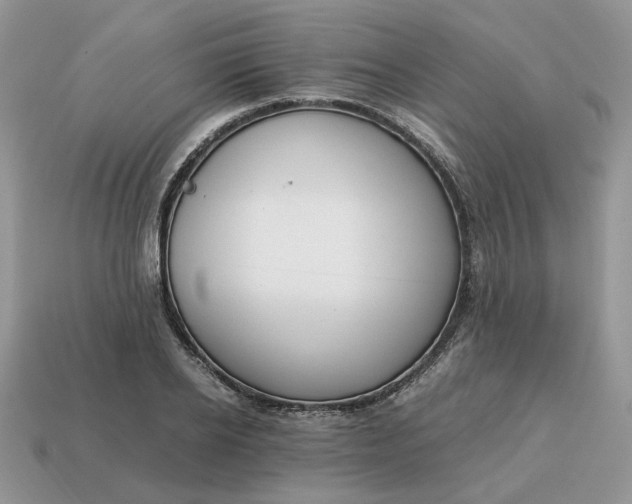 X0000114600934200911091314