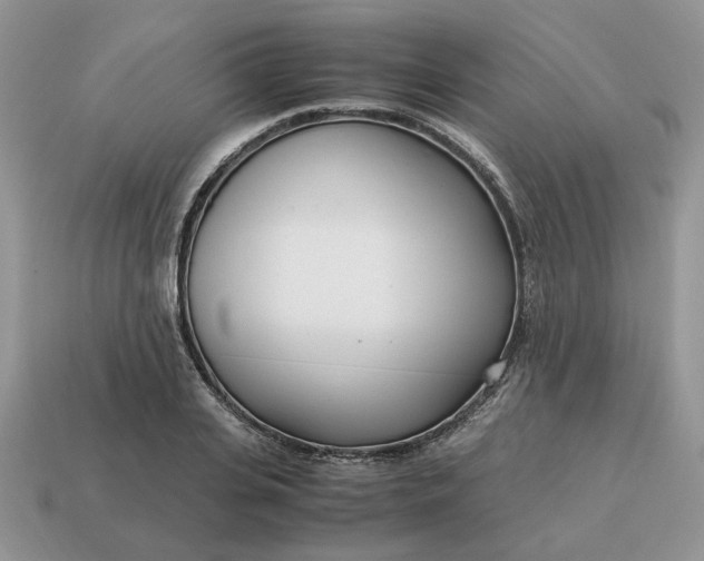 X0000114600935200911091314