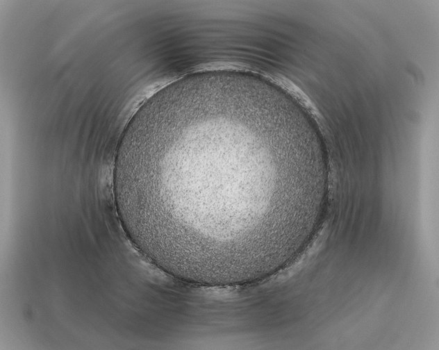 X0000114600937200911091314