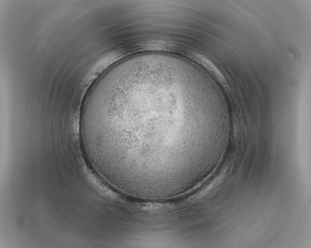 X0000114600938200911091314